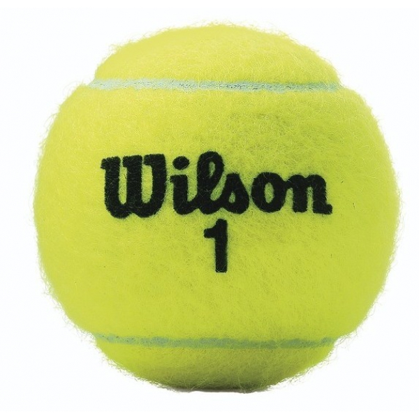 Wilson Championship Extra Duty Tennis Ball Can (3 Balls) Do It Tennis