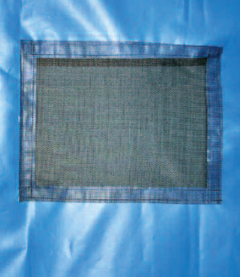 Backdrop mesh window