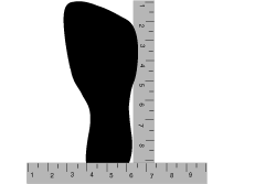 Shoe size measuring