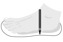 Shoe Size Outline
