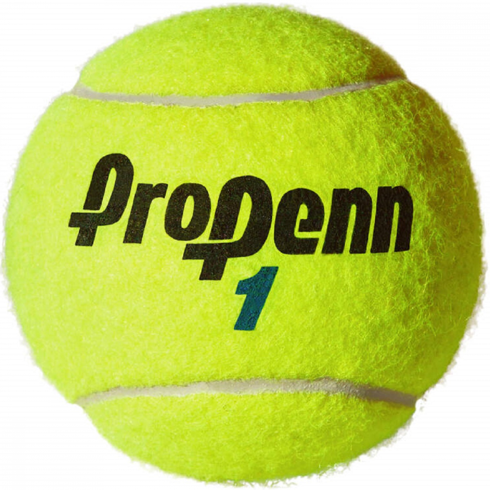52402-CAN Pro Penn Marathon Extra Duty, High Altitude Tennis Balls (Can)