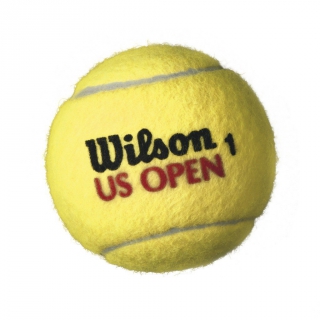Wilson US Open Extra Duty Tennis Balls, 3 Ball Can (4-Pack)