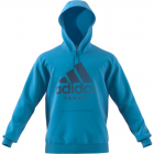 Adidas Men’s Category Tennis Graphic Hoodie (Blue) -