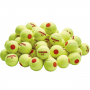 KIDS-2-50 Tourna Youth Orange Dot Tennis Balls (50 Balls)