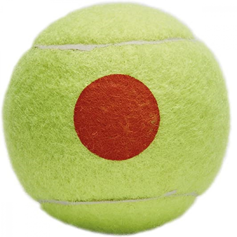 KIDS-2-50 Tourna Youth Orange Dot Tennis Balls (50 Balls)