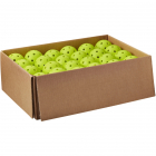 Wilson Tru 32 Pickleball Balls (48-ball case) -