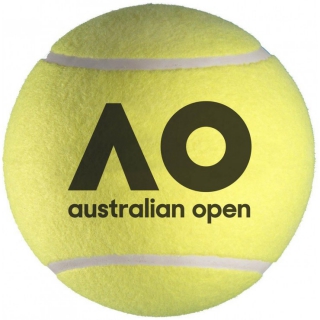 Dunlop Australian Open Tennis Balls (Case)