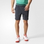 Adidas Men's Roland Garros Tennis Shorts (Night Grey/White)