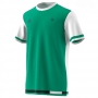 Adidas Men's Roland Garros Tennis Tee (Core Green/Phantom)