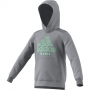 Adidas Boys' Club Tennis Hoodie (Grey Three)