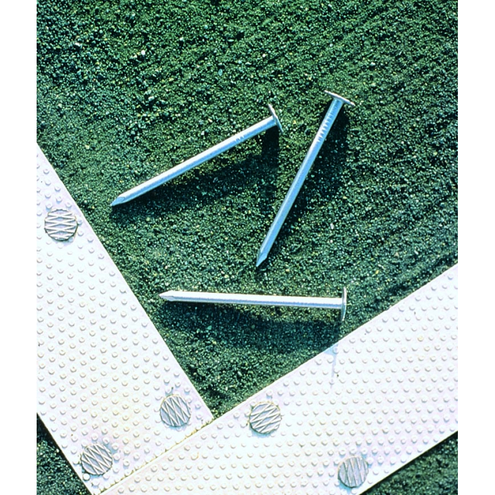 110-506 Har-Tru Aluminum Nails for Clay Tennis Courts - Large Head 2 1/2 Inch - 8lb Box