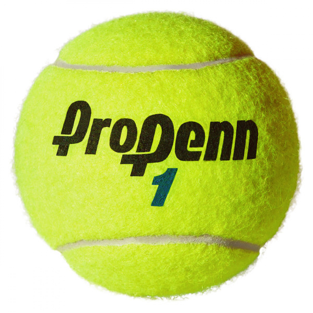 52202-CAN Pro Penn Marathon Extra Duty Tennis Balls (Can)