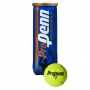 Pro Penn Marathon Extra Duty Tennis Balls (Case)