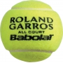 Babolat French Open All Court Tennis Balls (Can)
