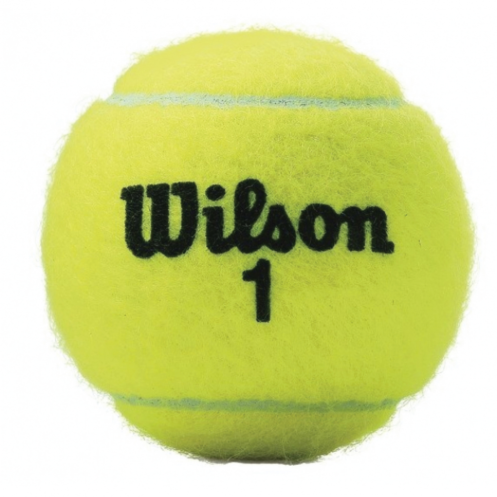 Wilson Championship High Altitude Tennis Ball Can (3 Balls)