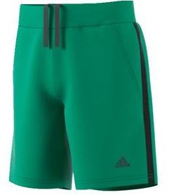 Adidas Men's Roland Garros Tennis Shorts (Core Green/Black)